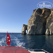 фото из отзыва ID 2058365