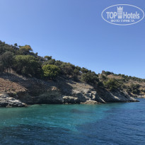 фото из отзыва ID 2058365