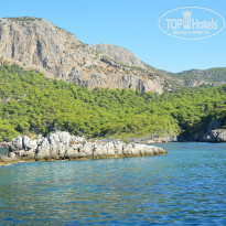 фото из отзыва ID 2058365