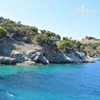 фото из отзыва ID 2058365