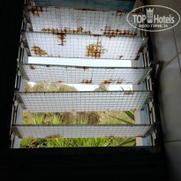 фото из отзыва ID 2050710