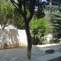 фото из отзыва ID 2050710