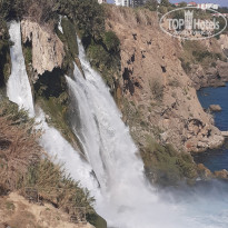 фото из отзыва ID 2058469