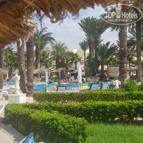 фото из отзыва ID 2058474