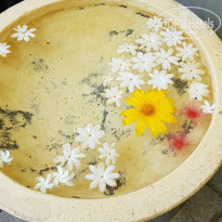 фото из отзыва ID 2058487