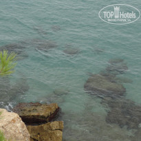 фото из отзыва ID 2058484