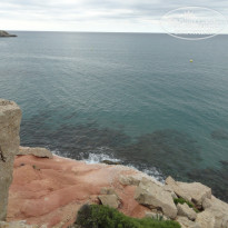 фото из отзыва ID 2058484