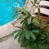 фото из отзыва ID 2058487