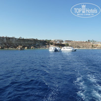 фото из отзыва ID 2058464