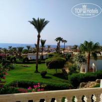 фото из отзыва ID 2058441