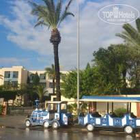 фото из отзыва ID 2058587