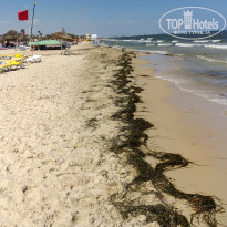 фото из отзыва ID 2058587