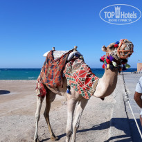 фото из отзыва ID 2058602