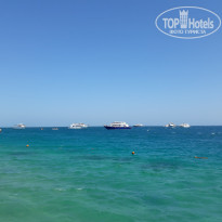 фото из отзыва ID 2058602