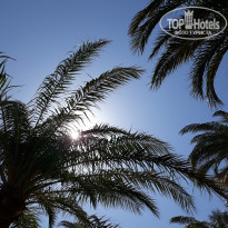 фото из отзыва ID 2058602