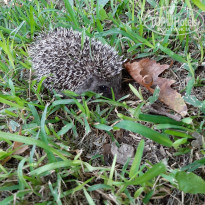 фото из отзыва ID 2058673