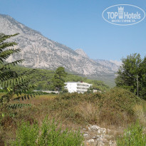 фото из отзыва ID 2057019