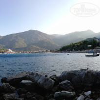 фото из отзыва ID 2058760