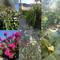 фото из отзыва ID 2058760