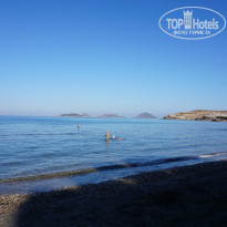 фото из отзыва ID 2058790