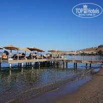 фото из отзыва ID 2058790