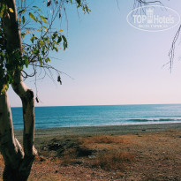 фото из отзыва ID 2058827