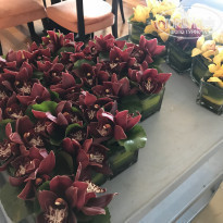 фото из отзыва ID 2058854