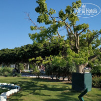 фото из отзыва ID 2058907