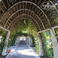 фото из отзыва ID 2058907