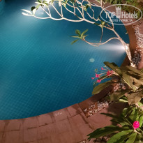 фото из отзыва ID 2058939