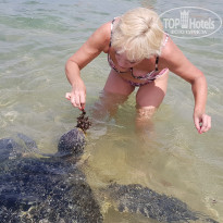 фото из отзыва ID 2058939