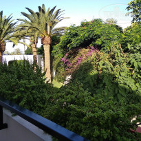 фото из отзыва ID 2058925