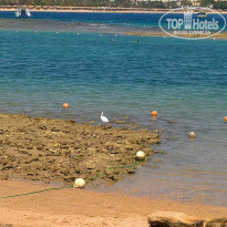 фото из отзыва ID 2059024