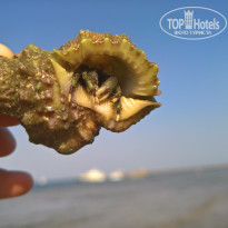 фото из отзыва ID 2059024