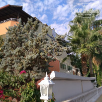 фото из отзыва ID 2059040