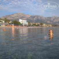 фото из отзыва ID 2059040