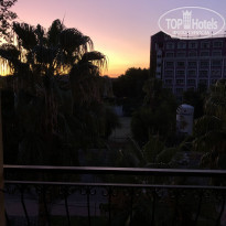 фото из отзыва ID 2059154