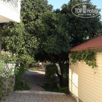 фото из отзыва ID 2057019