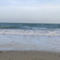 фото из отзыва ID 2059281