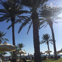 фото из отзыва ID 2059259