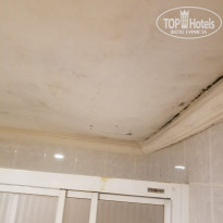 фото из отзыва ID 2059299