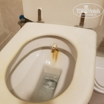 фото из отзыва ID 2059299