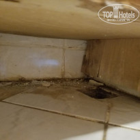 фото из отзыва ID 2059299