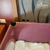 фото из отзыва ID 2059299