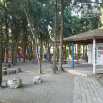 фото из отзыва ID 2059299