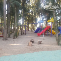 фото из отзыва ID 2059299