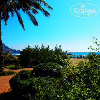 фото из отзыва ID 2059327