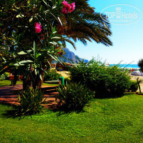 фото из отзыва ID 2059327