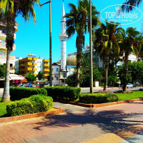 фото из отзыва ID 2059327