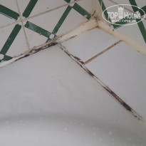 фото из отзыва ID 2054679